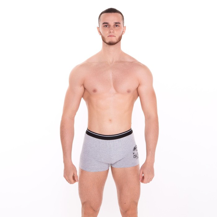 Трусы мужские боксеры «Лев», цвет серый меланж, размер 46