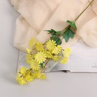 Цветы искусственные "Хризантема" премиум, 3,5х62 см, жёлтый