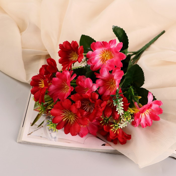 Букет Астра бельгийская 14 цветков, d-5 см h-30 см, микс букет хризантема зембла 6 цветков d 6 5 см h 26 см микс