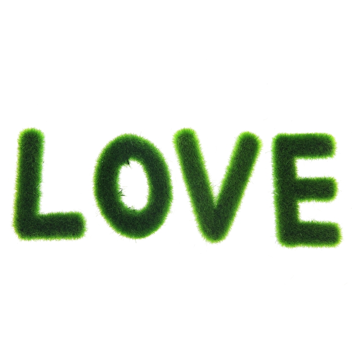 Магнит-топиарий "Травка Love", МИКС