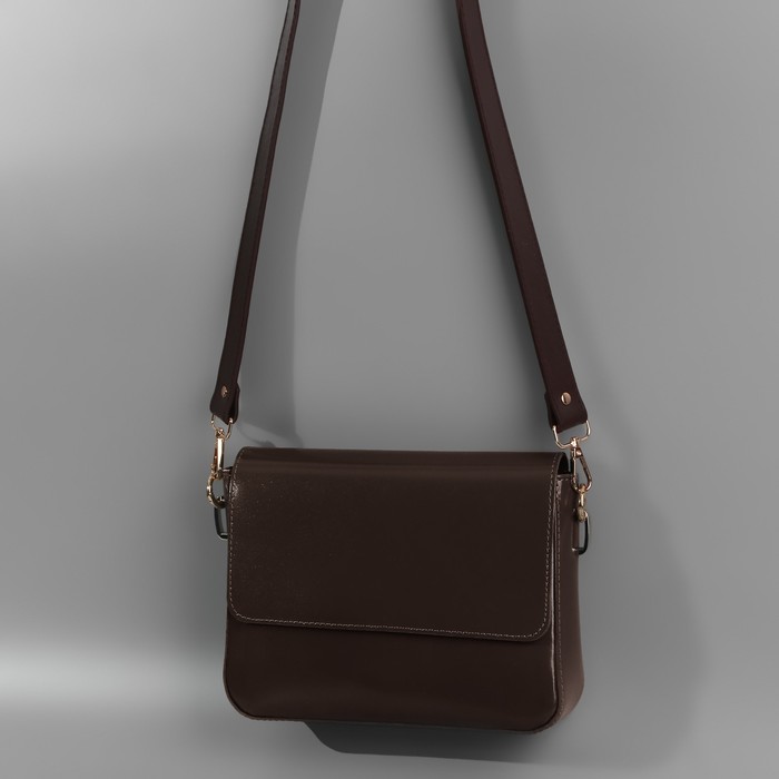 Ручка для сумки, с карабинами, 100 ± 1 см × 2,5 см, цвет коричневый