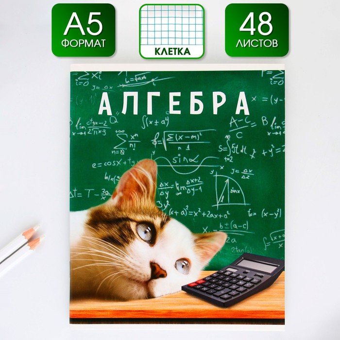 Предметная тетрадь, 48 листов МИЛЫЕ ПИТОМЦЫ, блок №1, со справ. мат. "Алгебра"