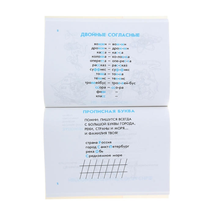 Дружок. Правила для начальных классов