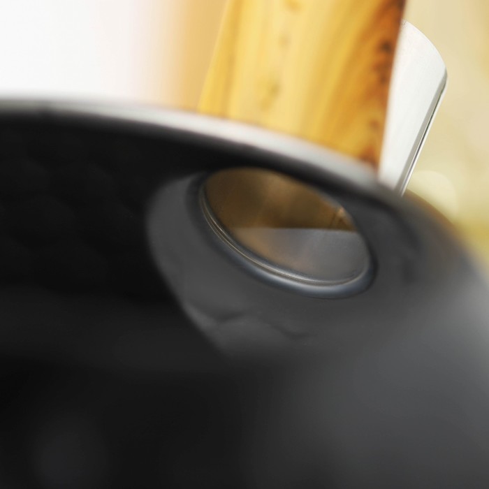 Чайник из нержавеющей стали со свистком Magistro Heat, 3 л, ТРС, индукция, ручка soft-touch, цвет чёрный