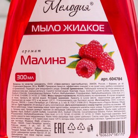 

Мыло жидкое Мелодия "Малина", пуш-пул, 300 мл