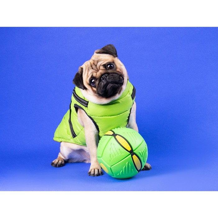 Мяч - фрисби для собак НЛО зелёный, 16 см цена и фото