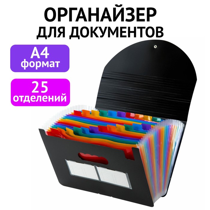 

Папка-органайзер для бумаг и документов на резинке, 25 отд, BRAUBERG DOCS, А4, черн 271151