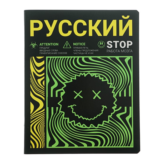 Тетрадь предметная Неоновый смайл 48 листов в линию Русский язык обложка мелованный картон неоновая краска блок 65 гм 28₽