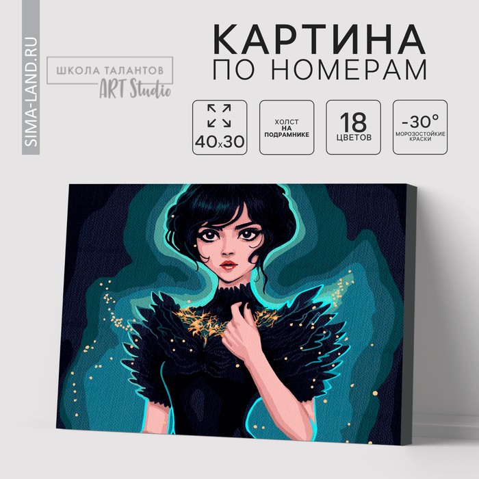

Картина по номерам на холсте с подрамником «Таинственная девушка», 30 х 40 см