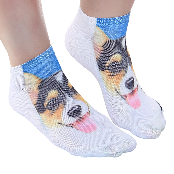 Носки Collorista "Собака", р-р 10-14 (1-3г.)