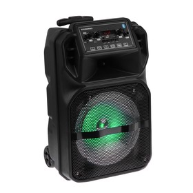 Портативная колонка Telefunken TF-PS2302, 60Вт, 2400мАч, FM,BT, microSD,USB, AUX, подсветка