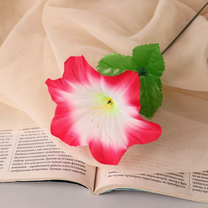 Цветы искусственные Гиппеаструм d-12 см h-23 см, бело-розовый