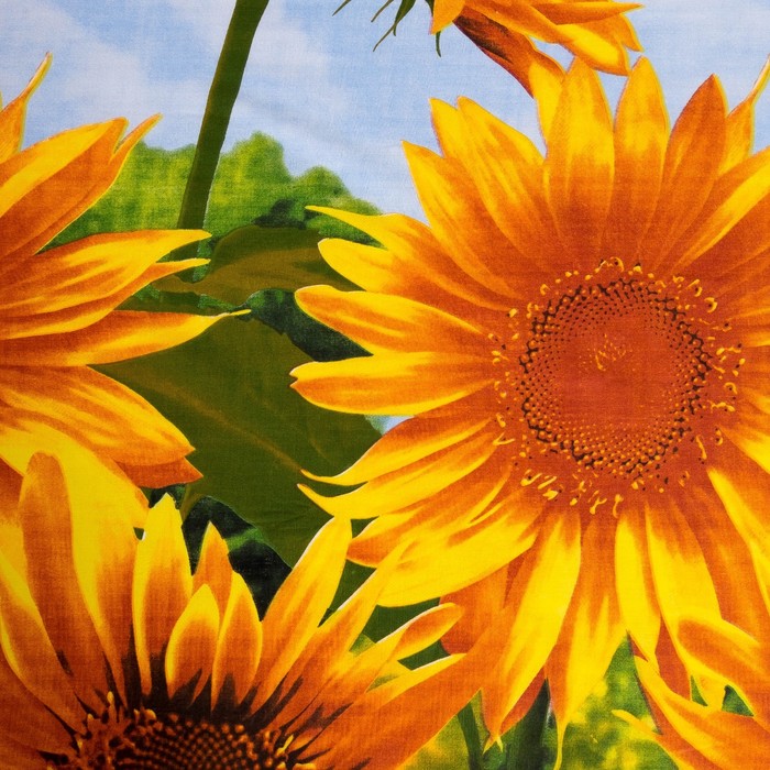 Простыня "Этель поплин" 1.5 сп Цветок солнца 150*210 см, 100% хлопок, поплин