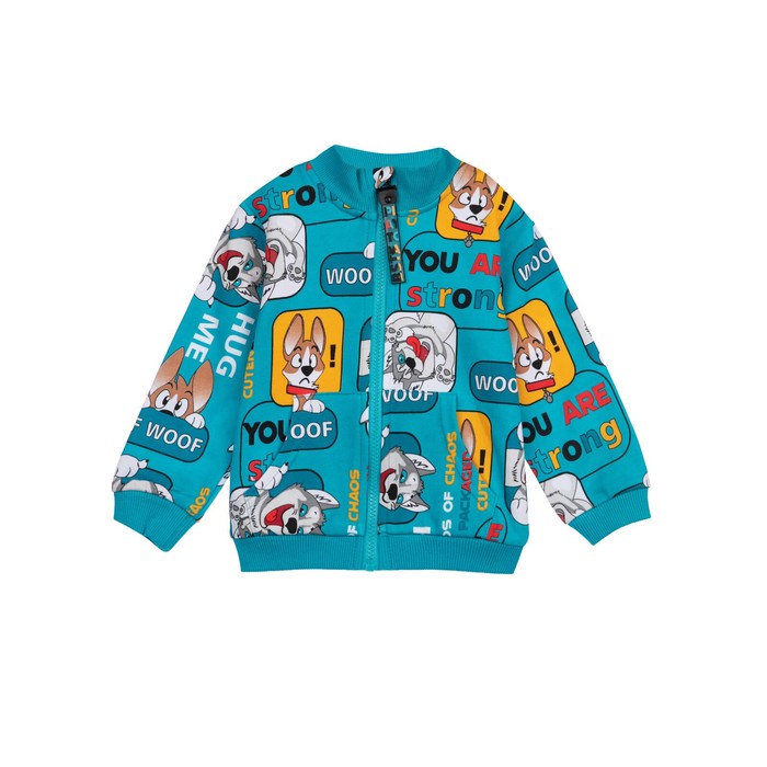 фото Толстовка для мальчиков, рост 80 см playtoday