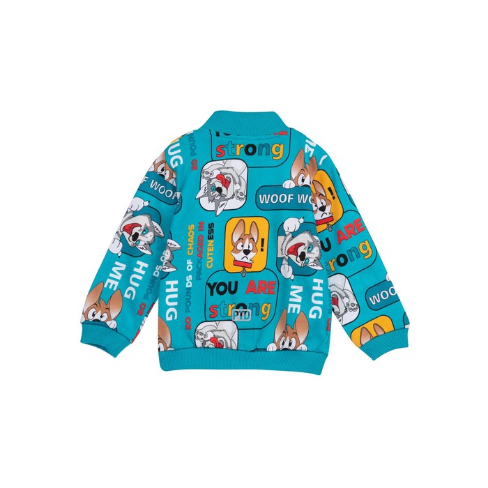 

Толстовка для мальчиков, рост 80 см