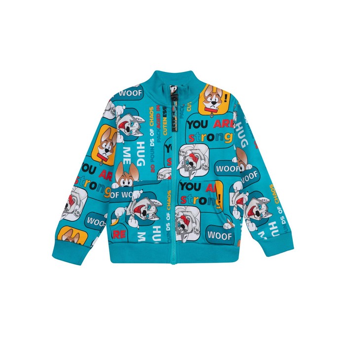 фото Толстовка для мальчиков, рост 110 см playtoday