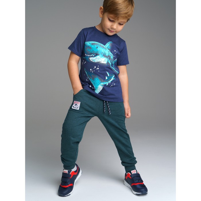 фото Брюки с начесом для мальчика, рост 98 см playtoday