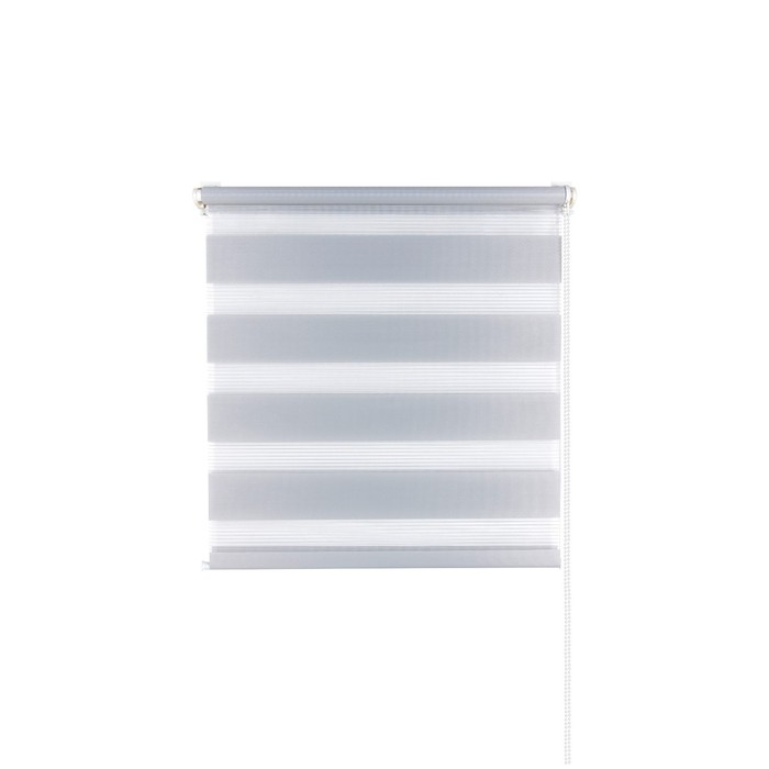 Рулонная штора «День и Ночь», 100х160 см, цвет стальной