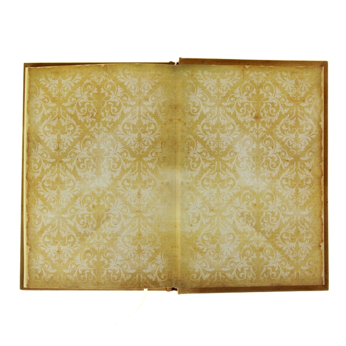 Ежедневник "Steamship. Серия Retro Collection" ,твёрдая обложка, А5, 96 листов