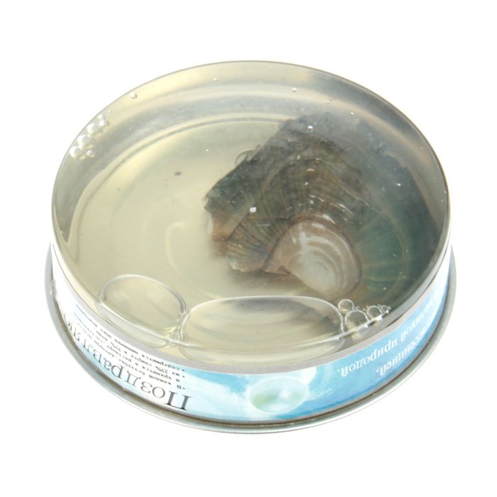 Жемчужина желаний "Исполнение мечты": цепочка 45 см + кулон "Капелька"