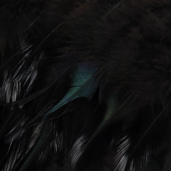 Тесьма с перьями петуха, 10-15 см, 5 ± 0,5 м, цвет чёрный