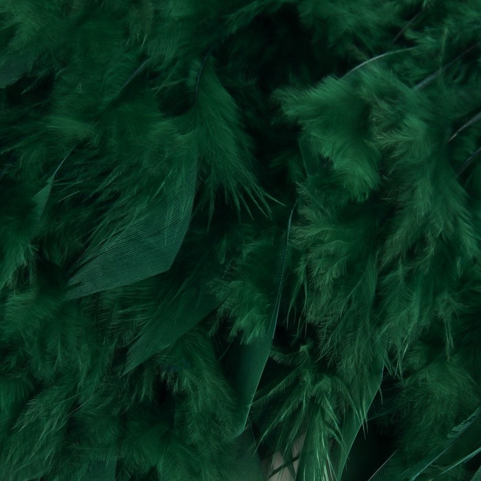 Тесьма с перьями индюка, 13-17 см, 5 ± 0,5 м, цвет изумрудный