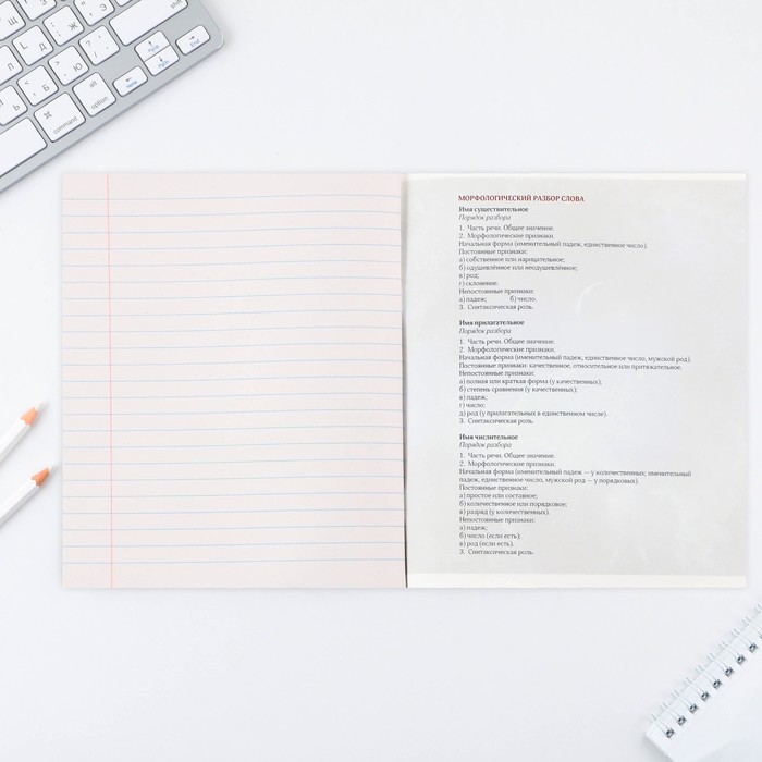 Предметная тетрадь, 48 листов КОСМОС, блок №2, со справ. мат. "Русский язык" 9463186