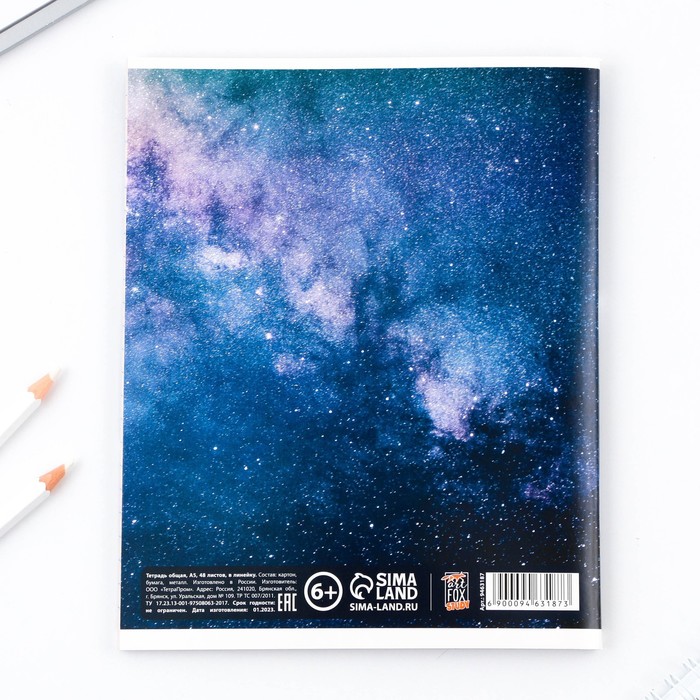 Предметная тетрадь, 48 листов КОСМОС, блок №2, со справ. мат. "Литература" 9463187