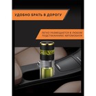 Миниатюра