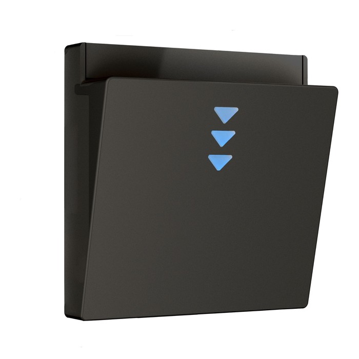 Накладка для электронного карточного выключателя W1163108, чёрный