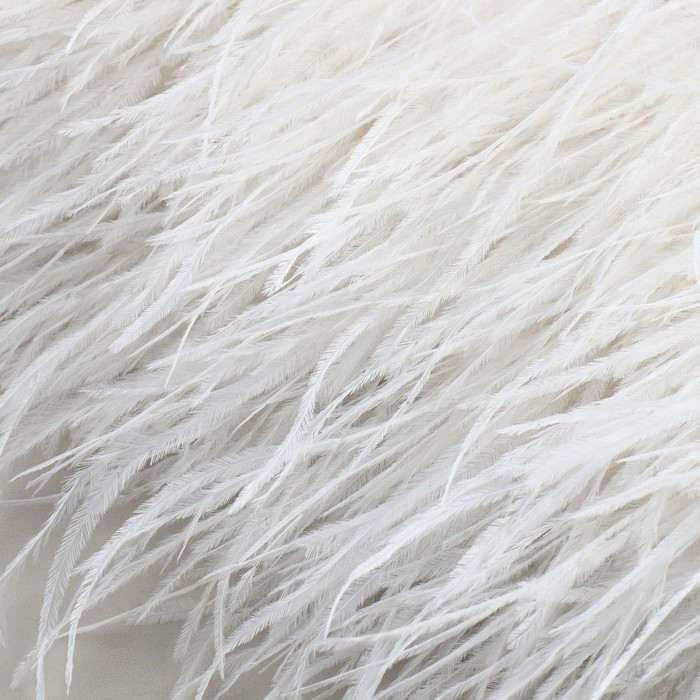 Тесьма с перьями страуса, 8-10 см, 5 ± 0,5 м, цвет белый