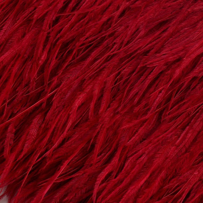 Тесьма с перьями страуса, 8-10 см, 5 ± 0,5 м, цвет бордовый