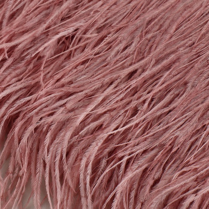 Тесьма с перьями страуса, 8-10 см, 5 ± 0,5 м, цвет пудровый