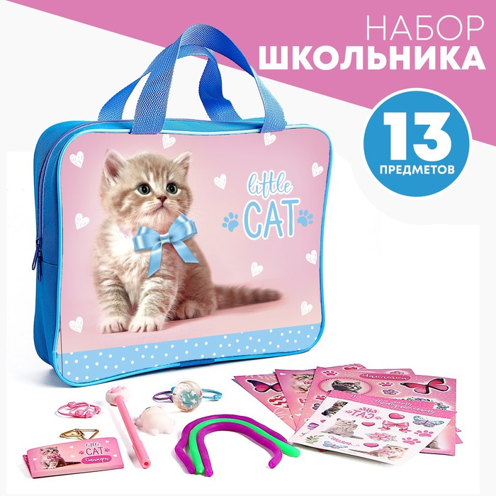 Подарочный набор школьника «Котик», 13 предметов подарочный набор школьника с мягкой игрушкой ёжик 7 предметов