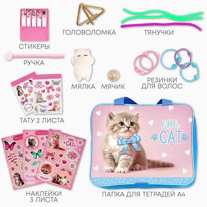 фото Подарочный набор школьника «котик», 13 предметов funny toys