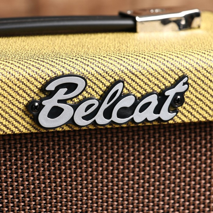Гитарный комбоусилитель V10G Vintage Series, 10Вт, Belcat
