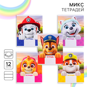 Тетрадь 12 листов, 5 видов МИКС, линейка, Paw Patrol