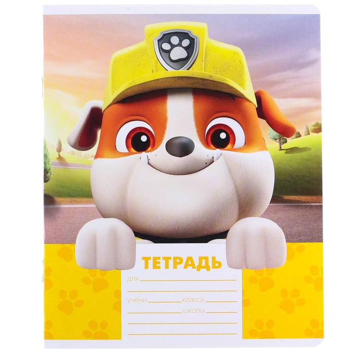 Тетрадь 12 листов, 5 видов МИКС, линейка, Paw Patrol