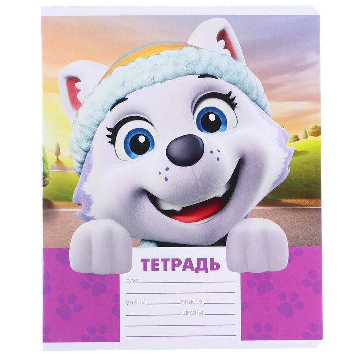 Тетрадь 12 листов, 5 видов МИКС, линейка, Paw Patrol