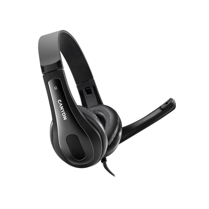 

Наушники CANYON CHSU-1, компьютерные, микрофон, USB, 110 дБ, 32 Ом, 3.5 мм, 2 м, черные