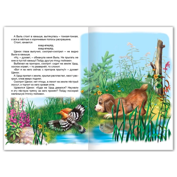 

Внеклассное чтение. Чей нос лучше