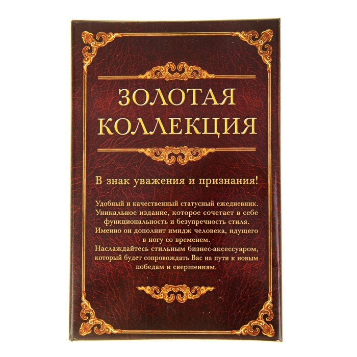 Ежедневник в подарочной коробке "Эпоха великих открытий", экокожа, А5, 96 листов