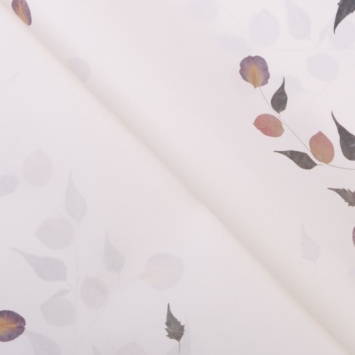 Бумага упаковочная "Листочки", белый, 60 х 60 см