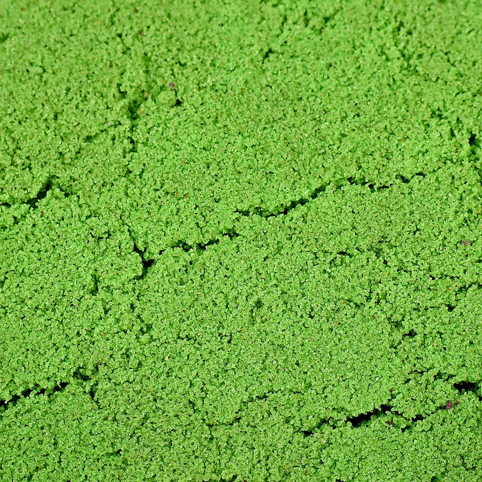 Трогательный песок Лепа, зеленый, 600 грамм