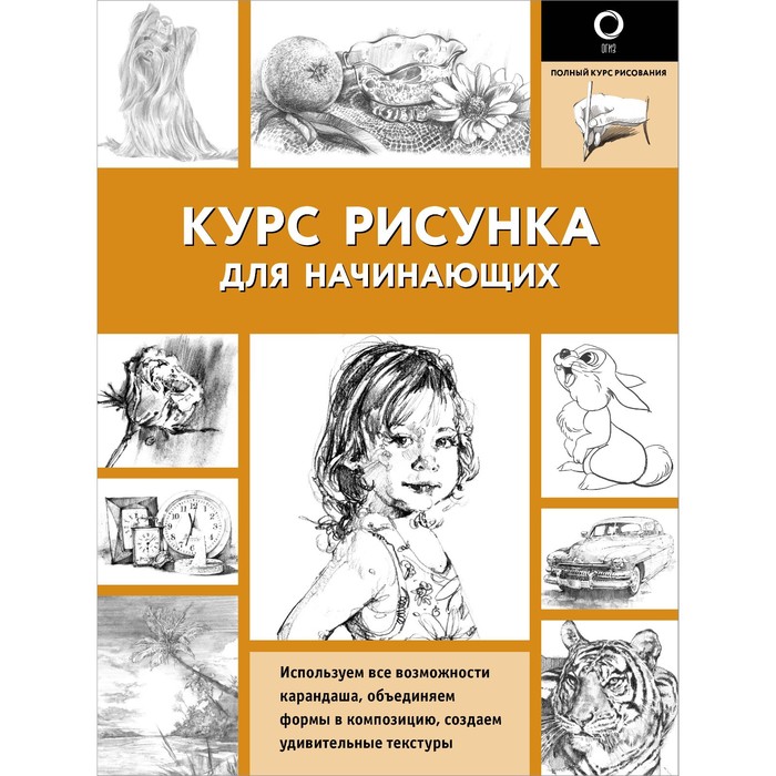 

Курс рисунка для начинающих