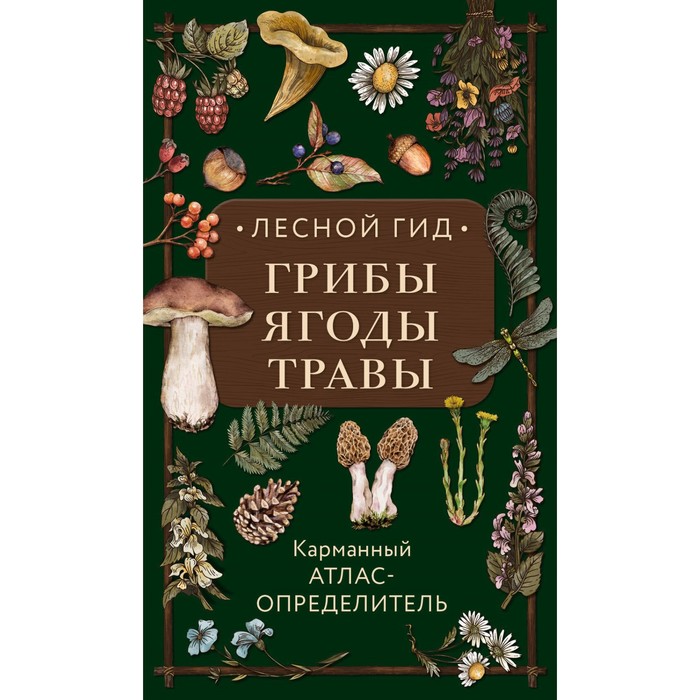 Лесной гид. Грибы, ягоды, травы. Карманный атлас-определитель. Семёнова Л.С.