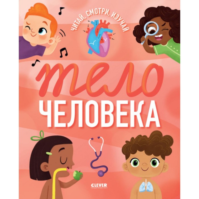 

Тело человека