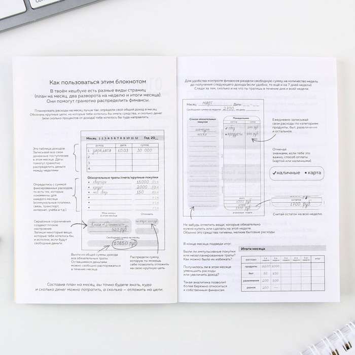 Умный блокнот для планирования финансов «Панда», формат А6, 68 листов.