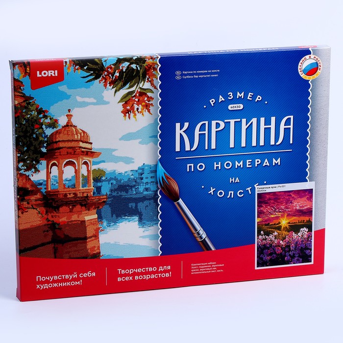 

Картина по номерам холст на подрамнике 30 × 40 см «Солнечные лучи»