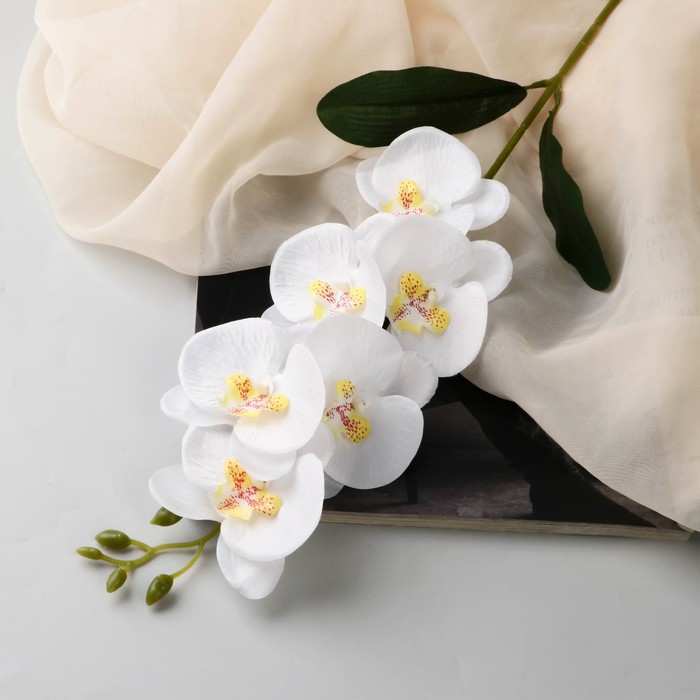 Цветы искусственные Орхидея фаленопсис премиум, 7х55 см, белый цветы искусственные орхидея фаленопсис мультифлора 6х37 см жёлтый